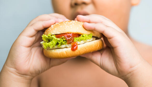 Obesidad: Factores y variables psicológicas Factores de la obesidad