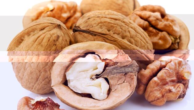 frutos secos frutos secos