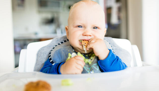 Primera papilla de verduras o Baby led weaning ¿qué es mejor? Primera papilla de verduras o Baby led weaning ¿qué es mejor?