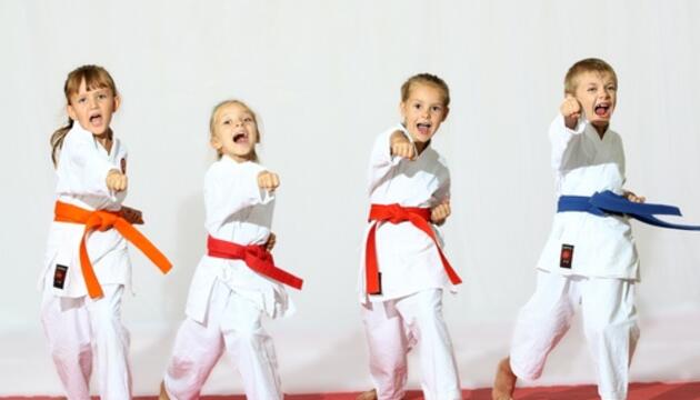 Artes marciales y sus beneficios karate