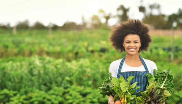 ¿Qué son los alimentos ecológicos? Alimentos ecológicos