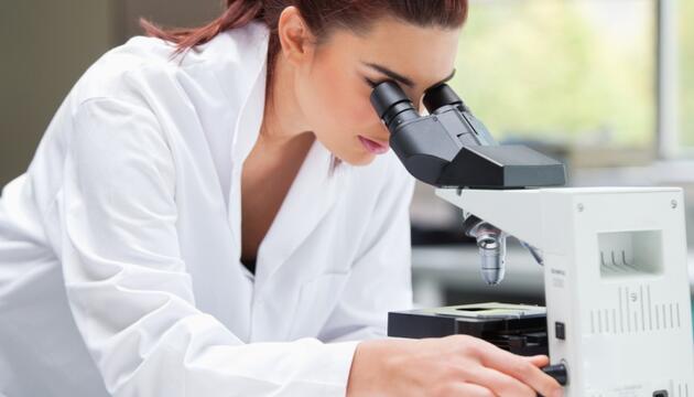 El cáncer de mama y la genética El cáncer de mama y la genética