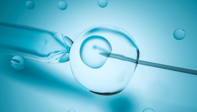 ¿Por qué se retrasa la maternidad? ¿Por qué se retrasa la maternidad?