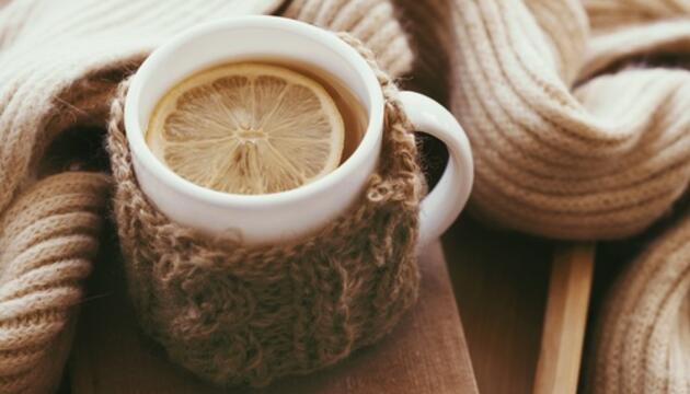 alimentos invierno alimentos invierno