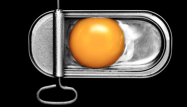 Alimentos precocinados Alimentos precocinados