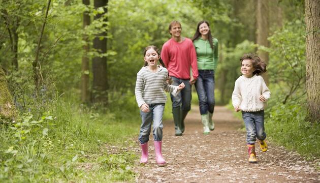 Los mejores bosques en España para tus escapadas otoñales bosque