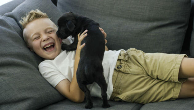 Niños y perros, una relación para toda la vida Perros y niños