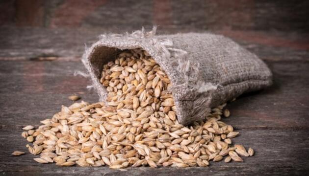 alimentos marzo alimentos marzo
