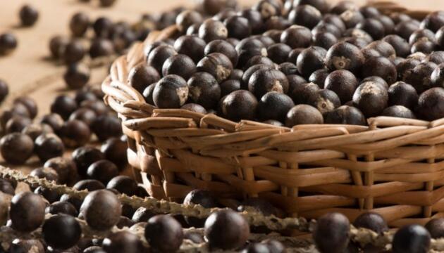 El açai, fuente de antioxidantes El Açai