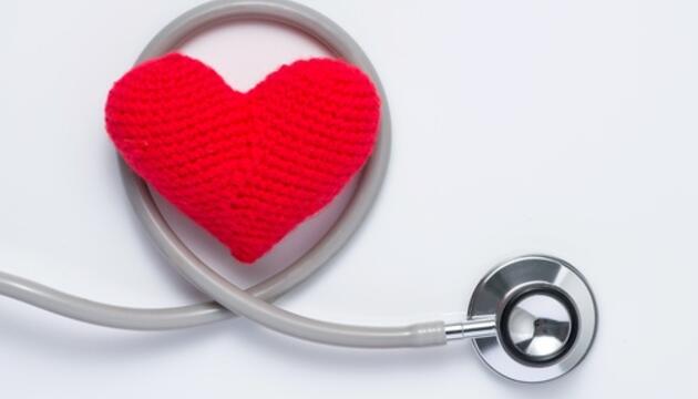 cardiovascular cardiovascular