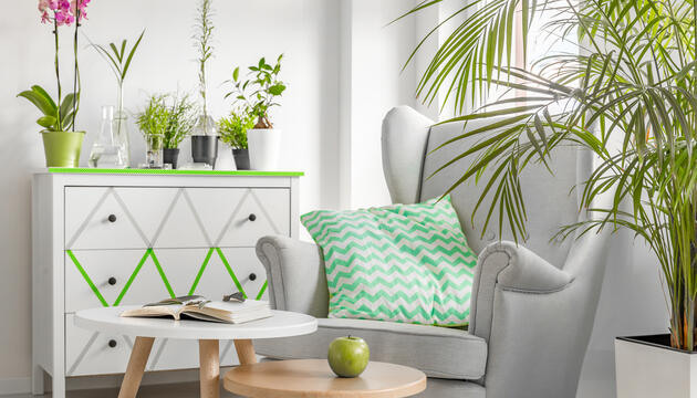 Las plantas: el mejor purificador de aire interior para nuestro hogar Las plantas: el mejor purificador de aire interior para nuestro hogar