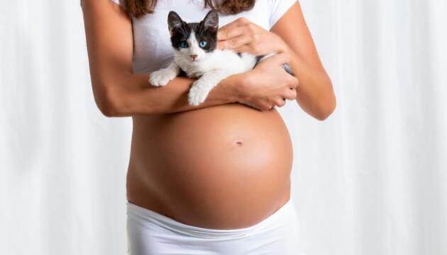 Embarazo y toxoplasmosis