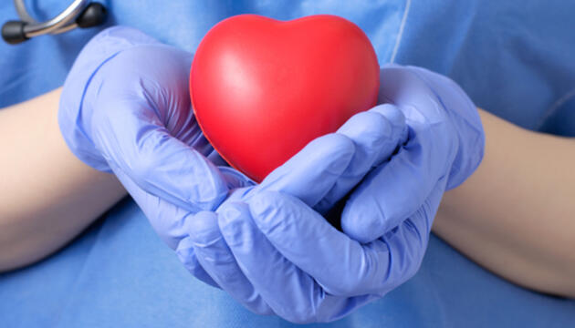 Colesterol y salud cardiovascular Colesterol y salud cardiovascular