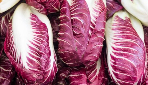 radicchio