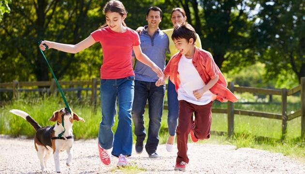 Beneficios de recorrer los Caminos de Salud Caminos salud