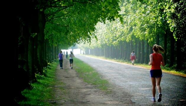 ¿Cómo ponerse en forma corriendo? correr por caminos