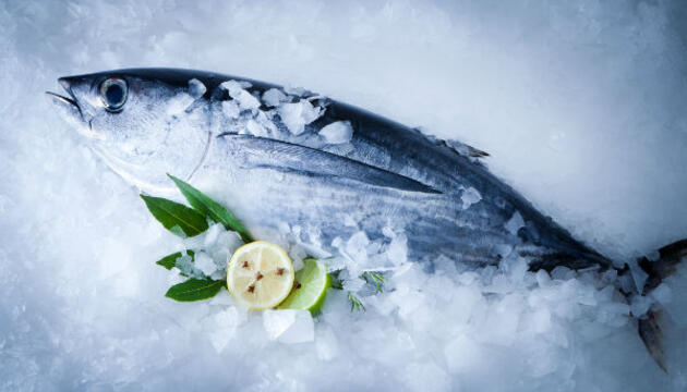 Conservación de los alimentos Conservación pescado