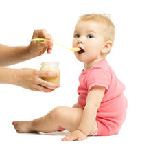 Alimentacion complementaria