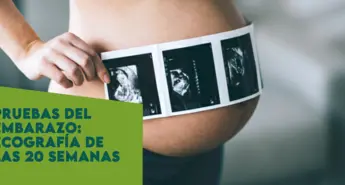 Ecografía de las 20 semanas de embarazo